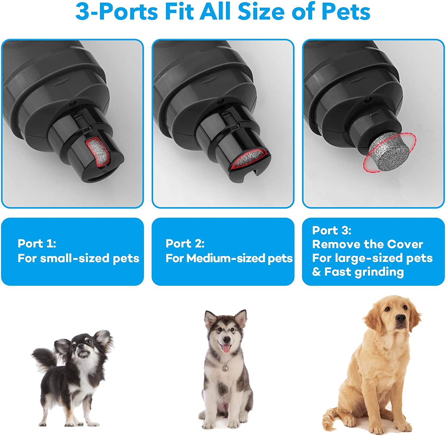 dog nail grinder with 2 led light new version 2 speed powerful electric pet nail trimmer professional quiet painless paws grooming & smoothing for small medium large dogs and cats (grey) dog nail grinder with 2 led light new version 2 speed powerful electric pet nail trimmer professional quiet painless paws grooming & smoothing for small medium large dogs and cats (grey)